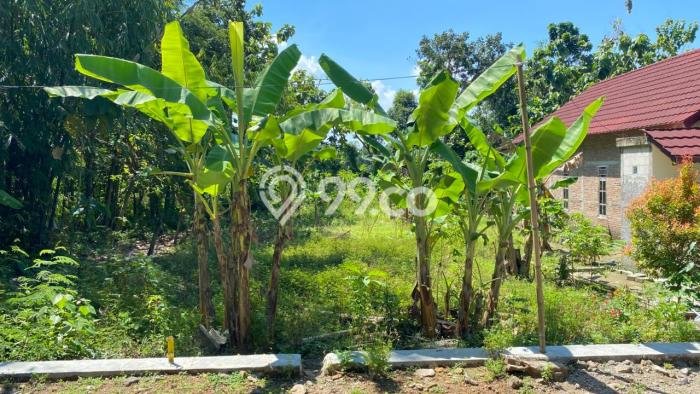 Tanah untuk Dijual Lokasi Kalijambe, Sragen Luas 202m2 - Tanah untuk Dijual Lokasi Kalijambe, Sragen Luas 202m2 -