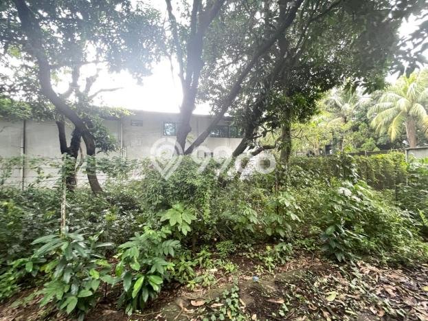 LOKASI STRATEGIS! Pabrik Kawasan Pinang, Luas 6300m², Kawasan Komersial LOKASI STRATEGIS! Pabrik Kawasan Pinang, Luas 6300m², Kawasan Komersial