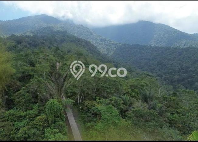 Lahan Kosong Dijual di Tabanan dengan Area 1000m2 Lahan Kosong Dijual di Tabanan dengan Area 1000m2