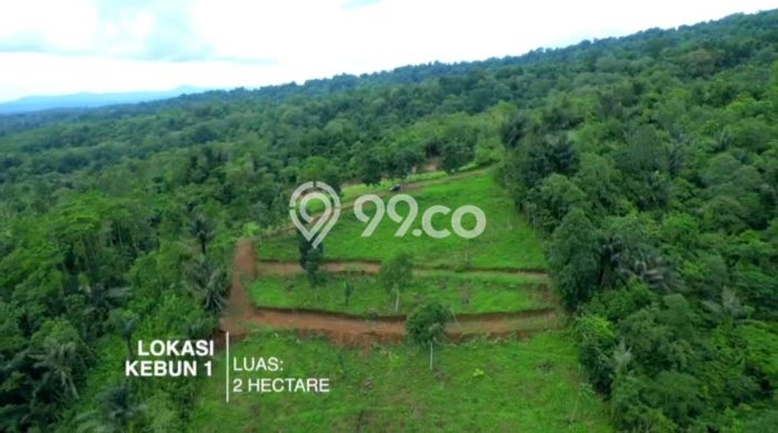 Lahan Kosong Dijual di Tabanan dengan Area 1000m2 Lahan Kosong Dijual di Tabanan dengan Area 1000m2