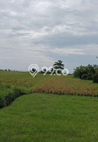 Lahan Investasi Lokasi Tabanan Tabanan - Lahan Investasi Lokasi Tabanan Tabanan -
