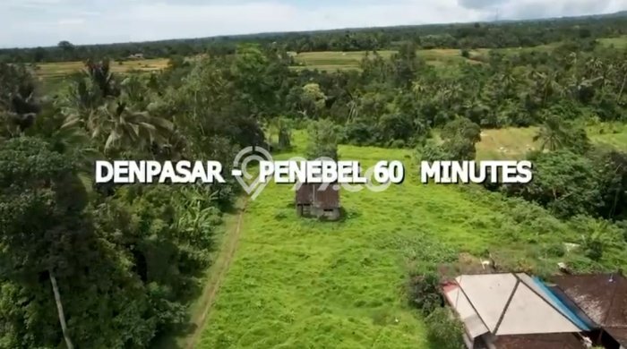 Kavling Tanah Dijual di Penebel, Tabanan, Luas 13900m2 Area Strategis Kavling Tanah Dijual di Penebel, Tabanan, Luas 13900m2 Area Strategis