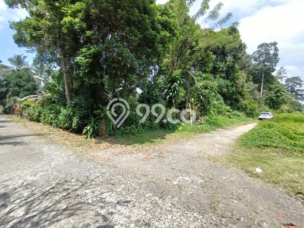 Kavling Tanah Dijual di Penebel, Tabanan, Luas 13900m2 Area Strategis Kavling Tanah Dijual di Penebel, Tabanan, Luas 13900m2 Area Strategis