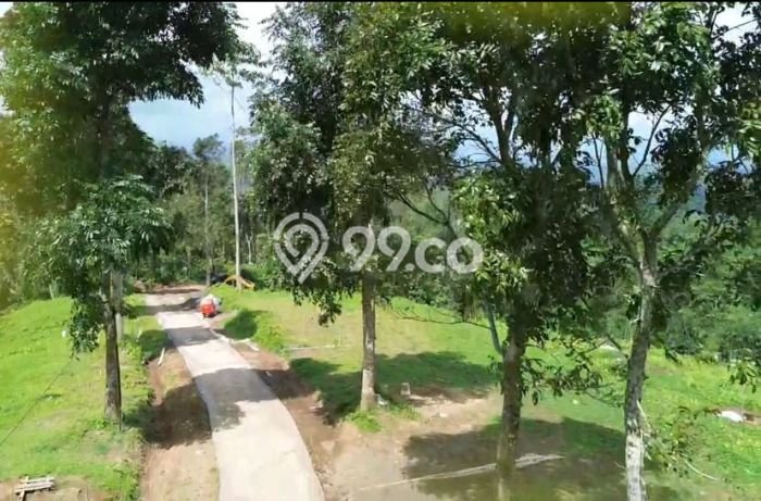 Lahan Kosong Dijual di Tabanan dengan Area 1000m2 Lahan Kosong Dijual di Tabanan dengan Area 1000m2