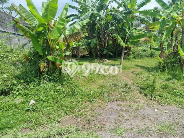Dijual Tanah di Baturiti Tabanan Luas 200m2 SHM Dijual Tanah di Baturiti Tabanan Luas 200m2 SHM