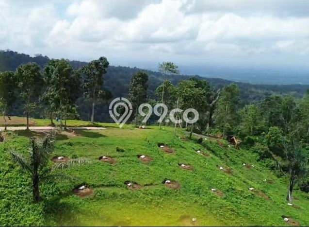 Lahan Kosong Dijual di Tabanan dengan Area 1000m2 Lahan Kosong Dijual di Tabanan dengan Area 1000m2
