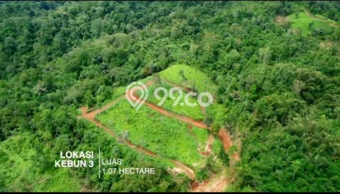 Lahan Kosong Dijual di Tabanan dengan Area 1000m2 Lahan Kosong Dijual di Tabanan dengan Area 1000m2