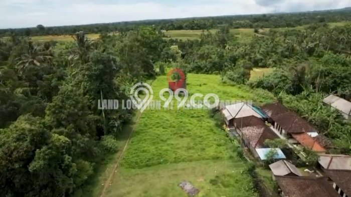 Kavling Tanah Dijual di Penebel, Tabanan, Luas 13900m2 Area Strategis Kavling Tanah Dijual di Penebel, Tabanan, Luas 13900m2 Area Strategis