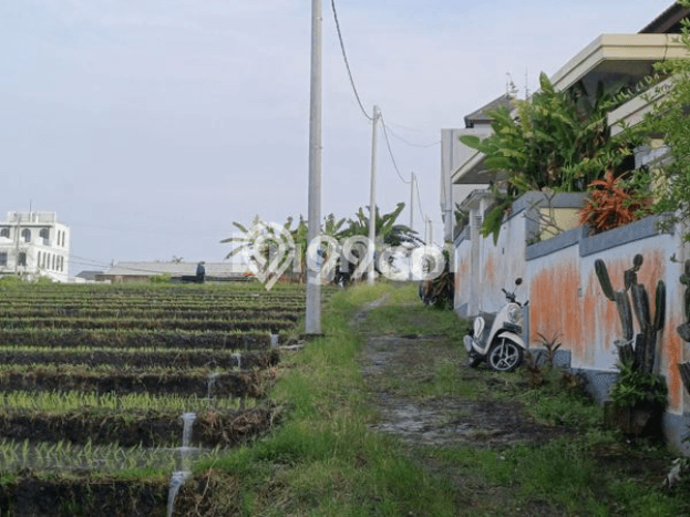 Rumah Disewakan Badung LT 200m2 LB 100m2 Kawasan Kerobokan Rumah Disewakan Badung LT 200m2 LB 100m2 Kawasan Kerobokan