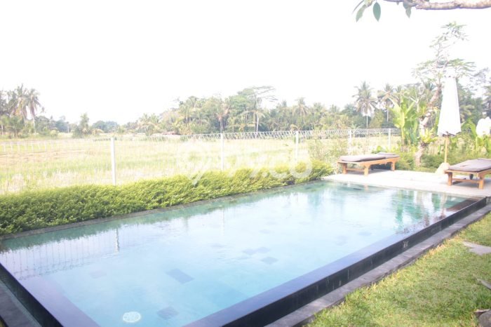 Lokasi terbaik! Rumah siap pakai dikontrakkan di Ubud LB 250m2 Lokasi terbaik! Rumah siap pakai dikontrakkan di Ubud LB 250m2