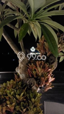 Rumah sewa siap pakai 3 Kamar Tidur di Jimbaran, Badung Rumah sewa siap pakai 3 Kamar Tidur di Jimbaran, Badung