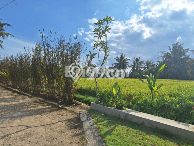 Vila di Ubud, Area 117m2m², Sewa Ekonomis, Lokasi Premium Vila di Ubud, Area 117m2m², Sewa Ekonomis, Lokasi Premium