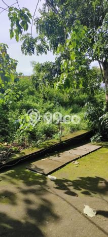 Tanah Disewakan Lokasi Badung Seluas 800m2 Strategis dan Aman Tanah Disewakan Lokasi Badung Seluas 800m2 Strategis dan Aman