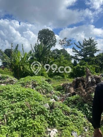 Tanah Siap Bangun Dijual di Badung Punya Luas 100m2 Tanah Siap Bangun Dijual di Badung Punya Luas 100m2