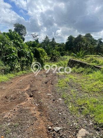 Tanah Siap Bangun Dijual di Badung Punya Luas 100m2 Tanah Siap Bangun Dijual di Badung Punya Luas 100m2