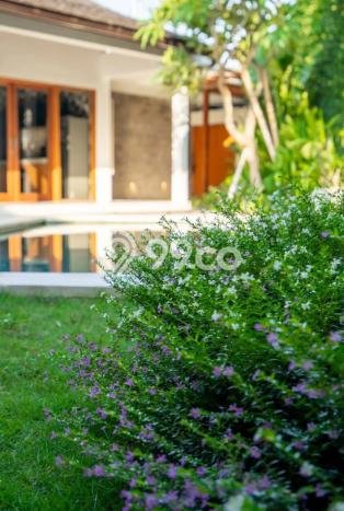 Rumah Mewah LB 300m2 Siap Pakai Desain Elegan di canggu, Badung Rumah Mewah LB 300m2 Siap Pakai Desain Elegan di canggu, Badung