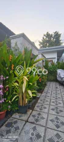 Sewa Rumah Murah di Sanur Denpasar dengan 2 Kamar Tidur Sewa Rumah Murah di Sanur Denpasar dengan 2 Kamar Tidur