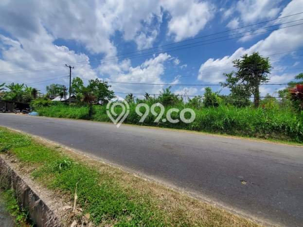 Lahan Investasi Lokasi Petang Badung SHM Lahan Investasi Lokasi Petang Badung SHM
