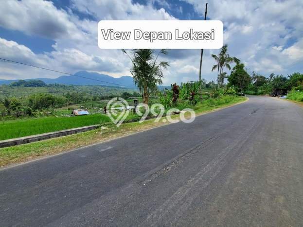 Lahan Investasi Lokasi Petang Badung SHM Lahan Investasi Lokasi Petang Badung SHM