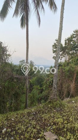 Dijual Tanah Lokasi Gadungan, Tabanan Seluas 12000m2 Dijual Tanah Lokasi Gadungan, Tabanan Seluas 12000m2