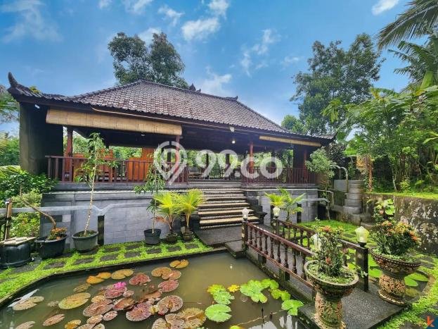 Rumah Mewah Dijual LT 3600m2 di Tabanan, Tabanan Rumah Mewah Dijual LT 3600m2 di Tabanan, Tabanan