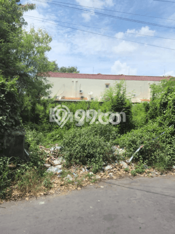 Tanah untuk Dijual di Denpasar Timur Denpasar Luas 701m2 Tanah untuk Dijual di Denpasar Timur Denpasar Luas 701m2