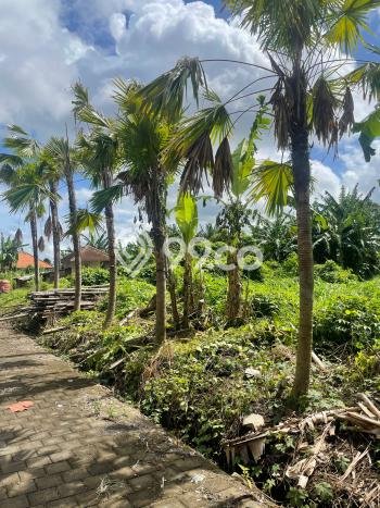 Tanah Siap Bangun Dijual di Badung Punya Luas 100m2 Tanah Siap Bangun Dijual di Badung Punya Luas 100m2