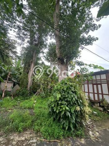 Lahan Dijual Lokasi Strategis di Badung dengan Luas 500m2 Lahan Dijual Lokasi Strategis di Badung dengan Luas 500m2