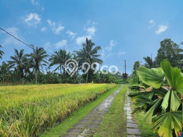 Rumah Mewah Dijual LT 3600m2 di Tabanan, Tabanan Rumah Mewah Dijual LT 3600m2 di Tabanan, Tabanan