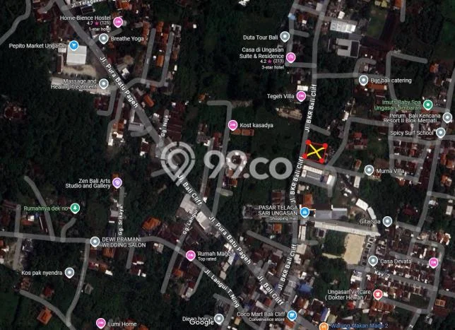 Tanah Investasi Dijual di Badung Punya Luas 700m2 Tanah Investasi Dijual di Badung Punya Luas 700m2
