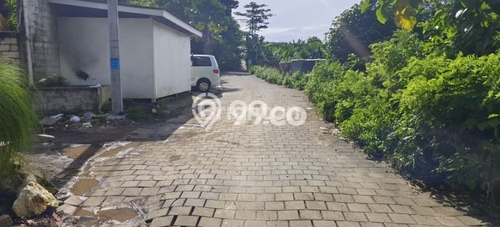 Tanah Disewakan Lokasi Badung Seluas 800m2 Strategis dan Aman Tanah Disewakan Lokasi Badung Seluas 800m2 Strategis dan Aman