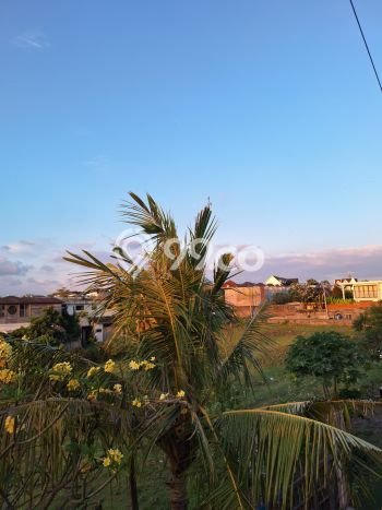 Jarang Ada! Rumah Sewa 3 Kamar Bagus Siap Huni Umalas Jarang Ada! Rumah Sewa 3 Kamar Bagus Siap Huni Umalas