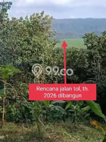 Dijual Rumah 3 Kamar Lokasi Strategis Nyaman dan Strategis di Pamarican Dijual Rumah 3 Kamar Lokasi Strategis Nyaman dan Strategis di Pamarican