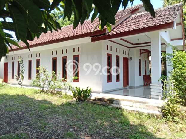 Dijual Rumah 3 Kamar Lokasi Strategis Nyaman dan Strategis di Pamarican Dijual Rumah 3 Kamar Lokasi Strategis Nyaman dan Strategis di Pamarican