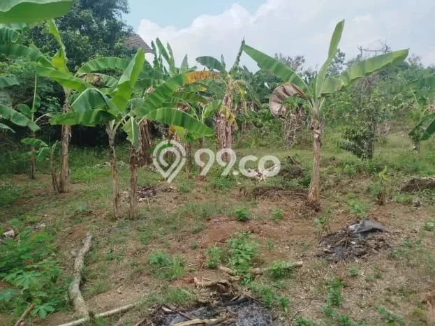 LAND FOR RENT! Tanah di Kasihan, Luas 1000m², Akses Jalan Utama LAND FOR RENT! Tanah di Kasihan, Luas 1000m², Akses Jalan Utama