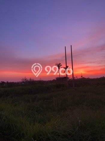 Tanah Kavling Dijual di Badung dengan Spesifikasi 257m2 Tanah Kavling Dijual di Badung dengan Spesifikasi 257m2