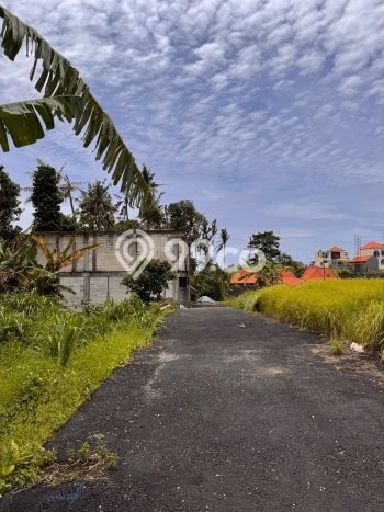 Tanah Investasi Dijual di Badung Punya Luas 170m2 Tanah Investasi Dijual di Badung Punya Luas 170m2