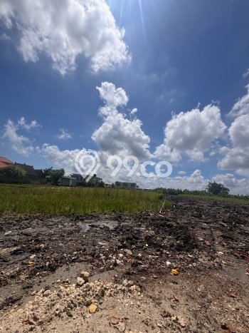 Untuk Dijual Tanah di Badung, Luas 300m2 SHM Untuk Dijual Tanah di Badung, Luas 300m2 SHM