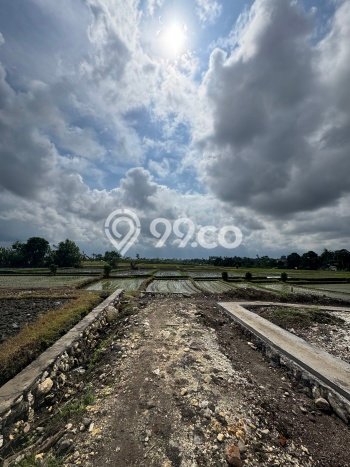 Kavling Tanah untuk Dijual di Canggu, Badung, Luas 200m2 Kavling Tanah untuk Dijual di Canggu, Badung, Luas 200m2