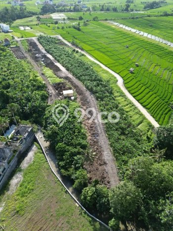 Tanah Kavling Dijual di Badung dengan Spesifikasi 257m2 Tanah Kavling Dijual di Badung dengan Spesifikasi 257m2