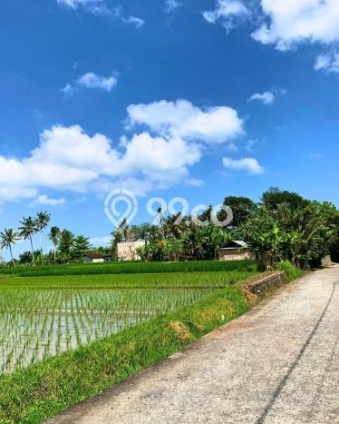 Tanah Dijual Lokasi Strategis di Tabanan dengan Luas 510m2 Tanah Dijual Lokasi Strategis di Tabanan dengan Luas 510m2