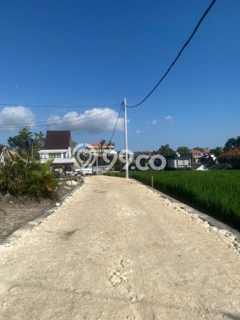 Tanah Kavling Dijual di Badung dengan Spesifikasi 113m2 Tanah Kavling Dijual di Badung dengan Spesifikasi 113m2