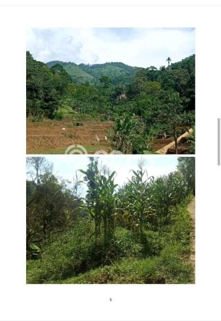 HARGA MENARIK! Tanah Kawasan Banjaran, Luas 560000m2m², Kawasan Berkembang, Bebas Longsor HARGA MENARIK! Tanah Kawasan Banjaran, Luas 560000m2m², Kawasan Berkembang, Bebas Longsor