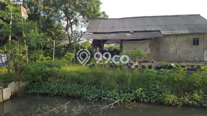HARGA TERBAIK! Tanah Kawasan , Luas 5000m2m², Akses Jalan Utama, Cocok untuk Hunian HARGA TERBAIK! Tanah Kawasan , Luas 5000m2m², Akses Jalan Utama, Cocok untuk Hunian