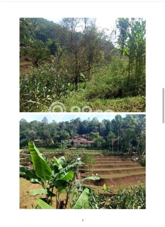HARGA MENARIK! Tanah Kawasan Banjaran, Luas 560000m2m², Kawasan Berkembang, Bebas Longsor HARGA MENARIK! Tanah Kawasan Banjaran, Luas 560000m2m², Kawasan Berkembang, Bebas Longsor