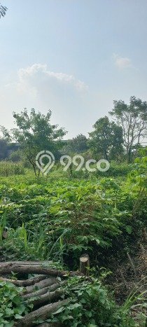 Dijual Tanah Kawasan Katapang, Luas 12000m², Akses Strategis Dijual Tanah Kawasan Katapang, Luas 12000m², Akses Strategis