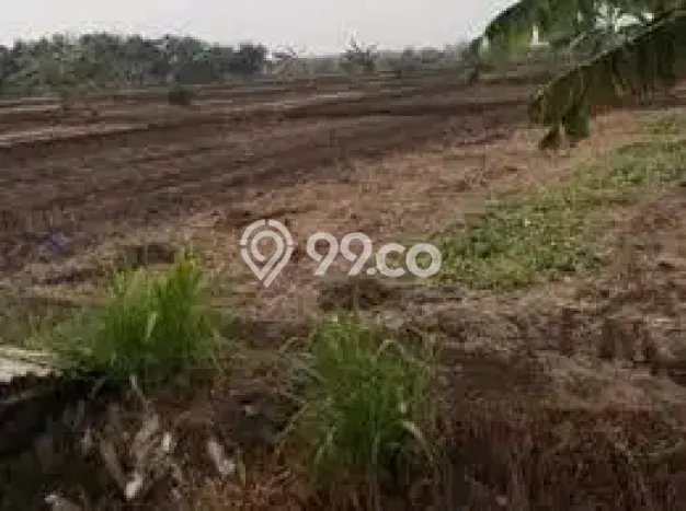Tanah Dijual Lokasi Menganti, Gresik dengan Luas Tanah 1150m2 dan Status SHM Tanah Dijual Lokasi Menganti, Gresik dengan Luas Tanah 1150m2 dan Status SHM