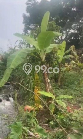 Tanah Dijual Area Strategis di Salatiga Salatiga 5941m2 Tanah Dijual Area Strategis di Salatiga Salatiga 5941m2