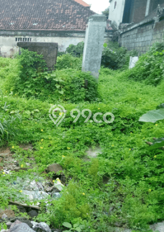 Lahan Kosong Dijual di Denpasar dengan Area 300m2 Lahan Kosong Dijual di Denpasar dengan Area 300m2