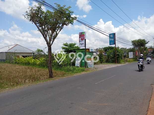 Kavling Tanah Disewakan di Abiansemal Badung Luas 1300m2 Strategis Kavling Tanah Disewakan di Abiansemal Badung Luas 1300m2 Strategis
